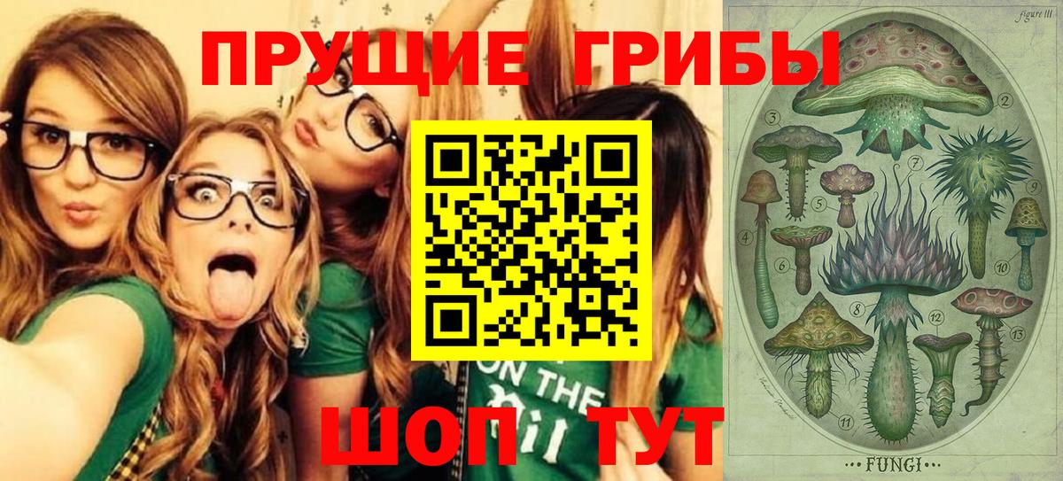 Псилоцибиновые грибы ЛСД Городец