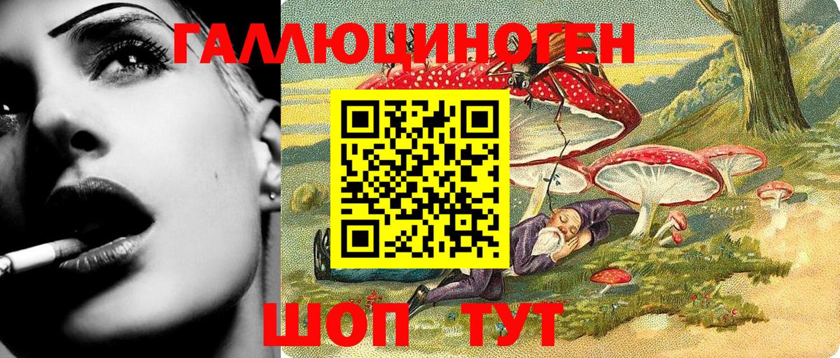 Псилоцибиновые грибы Cubensis  Вход с VPN  Городец 